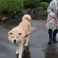 お互いを思いやりながら♡