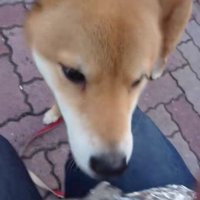 「いい匂い～♡」