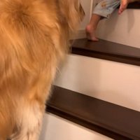 階段を登る男の子とラビーくん2