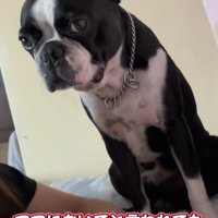 お姉ちゃんのそばを離れません