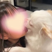 お姉ちゃんを慰めるニコちゃん2