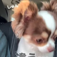 「違った…」