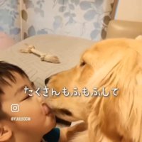 ていちゃんの顔を舐めるエルくん