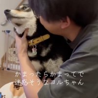 構ってもらえて…迷惑そう？