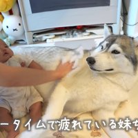 疲れてしまった赤ちゃんは…