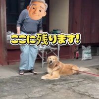 帰宅拒否