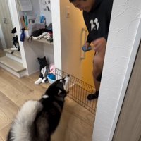 犬とお兄ちゃん