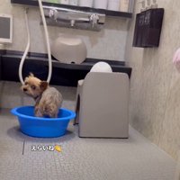 「最後までできたよ」