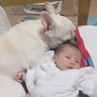 赤ちゃんに寄り添うロイちゃん6