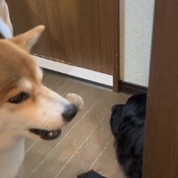 思わずため息が出る…