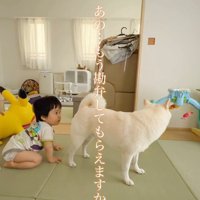 おまめちゃんと赤ちゃん⑩