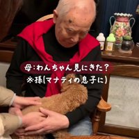 優しくナデナデ♡