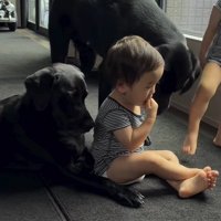 赤ちゃんが食べているおやつを見つめる犬