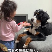 おかわりしないベルちゃん