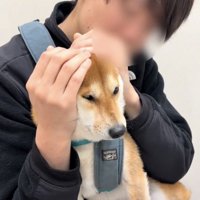 抱えられながらうつむく犬