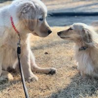 つむぎちゃんとみるくちゃん