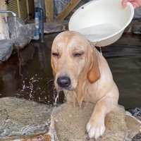 背中を流してあげると…