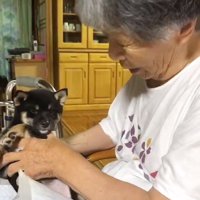 微笑ましいふたり