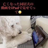 今でも寂しいよね