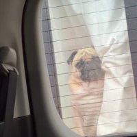 「なんで置いていったの…」