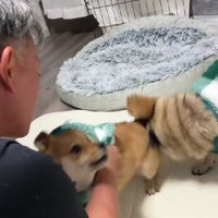 ピンポンが鳴った瞬間…