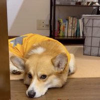 「そろそろ…？」