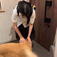 足元に擦り寄る大型犬