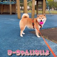 ひよりちゃんはまだ？