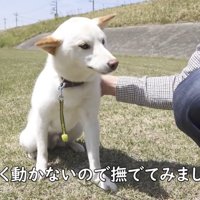 ナデナデしてみたら…