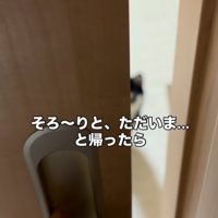 半開きの引き戸から覗く豆柴