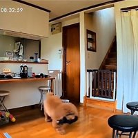 傘をくわえたいっきゅう君