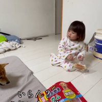 犬を見ながらおやつの袋を持つ女の子