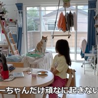 女の子を見守る花子ちゃん