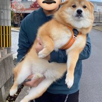 表情を見てみると…