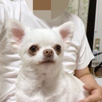 ママさんが先に寝ようとしたら…