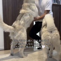 パパのこと、大好きすぎる！