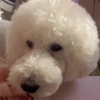 「そろそろ起きてね」