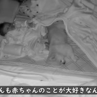 足元ですやすや…♪