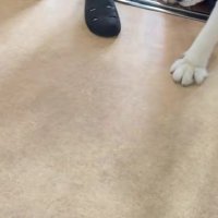 病院に来た蓮桜ちゃん