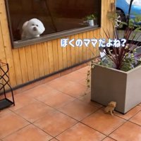 ショーンくんのお迎え3