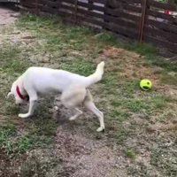 歩けるようになった！！