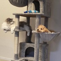 「まったく仕方ないなあ…」