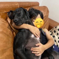 息子