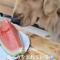 久しぶりすぎるもんね！
