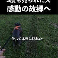 ついに…！！