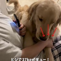 体重をかけて不満アピール