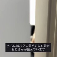 人間のように座るまめぞう君