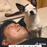 目をシパシパさせるピペちゃん