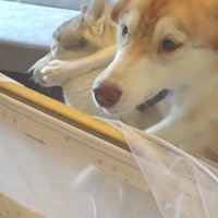 可愛い赤ちゃんに大興奮！