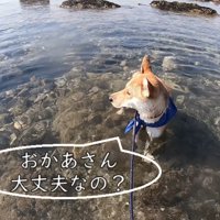 とにかくお母さんが気になる！